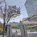 임광.보성아파트.늘푸른중학교 | 분당 정자동 상록마을 임광,보성아파트 32평형 전세 편리한 주거지