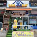 도그마캣군포