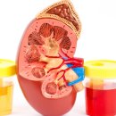 프라임 메디칼 이미지