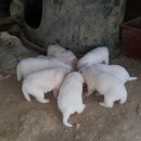 울산농장 이미지