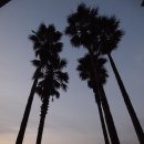 샤인빌모텔 이미지