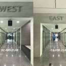 현대코너 Daum카페