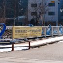 자작나무 스테이 이미지