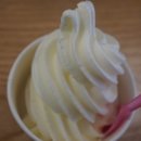 메밀빛초계국수막국수