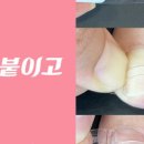 내성집