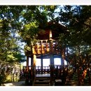 입화산참살이숲 이미지