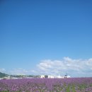 부곡동 돌담해안숲공원 이미지