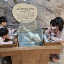 광성초등학교 이미지