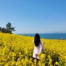 라르고 힐 이미지