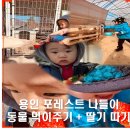 에스케이농장 | 용인 포레스트벨 딸기체험 후기 하니비니형제와 함께한 겨울 가족 나들이, 동물 먹이주기부터 딸기 따기...