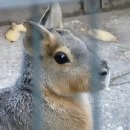 덴탈플란트 | 치아 건강 비상! 드디어 믿음직한 덴탈샵 뚫었다!