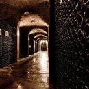 비노비노 (Vino Vino)