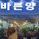 주정차 단속 - 064 | 제주 도남동 맛집 바른양 양고기 맛집