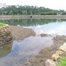 선소바다 이미지