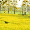 필승농장 이미지