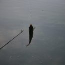 용천농장낚시터 이미지