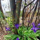 무한골프연습장 이미지