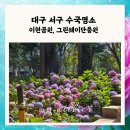 대구 수국명소 이현공원 그린웨이 실시간 개화상황 솔직후기