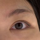 서현속눈썹펌 샤인뷰티 속눈썹펌 후기ㅣ눈썹 밀다가 실수로 속눈썹 시원하게 밀어버리고 수습중임…ㅠㅠ