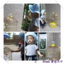 고현세탁소 이미지