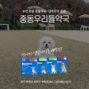 중동우리들약국 이미지