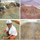 갑이농장 이미지