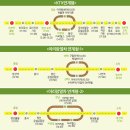 와와정선 2층 투어버스 이미지