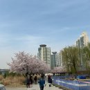 뚝섬한강공원-34 이미지