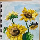 소묘 및 수채화(심화) 이미지