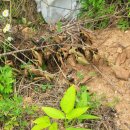 공이농장 이미지