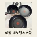 복음건강식품 | 돌고돌아 다시 선택한 "테팔" 수납공간 걱정없는 매직핸즈 5종 세트 내돈내산 후기