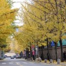 오현로20길 이미지