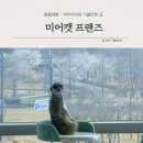 미어캣 | [공지] 파주 아이와 가볼만한곳 실내동물체험 “미어캣 프랜즈” 후기