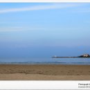 돼지한마당 이미지