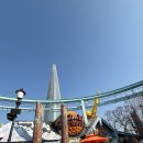 라라코스트 | 롯데월드 어트랙션 추천, 평일 대기시간, 말띠 할인, 맛집 라라코스트 후기