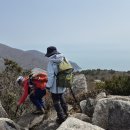 봉래산시름재 이미지