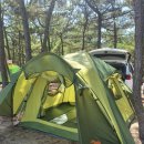 구산솔밭 이미지