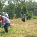 청수농장 이미지