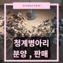 천마리농장 이미지