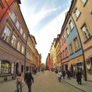 바로물가 이미지