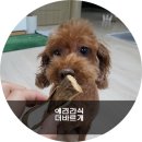 오늘도 바르개 이미지