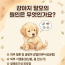 왜관동물병원 이미지