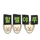 [성복역 헬스장] 대학생의 찐 현실적인 다이어트 루틴 | MVM 휘트니스 iPT 6주차 후기 (내돈내산)
