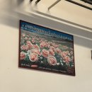 디슈 | [이탈리아] 파르마 햄 프로슈토 디 파르마 공장 투어 후기