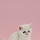 남구-037 이미지