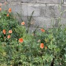 덕용한의원 이미지