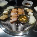 제주어멍돼지 이미지