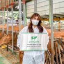 라이크팜 이미지