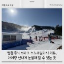 휘닉스 스노우파크 | 강원도 평창 휘닉스파크 눈썰매장 스노우빌리지 다녀온 후기, 아이랑 신나게 놀 수 있는 곳