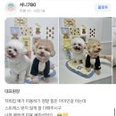 퓨어멍 이미지